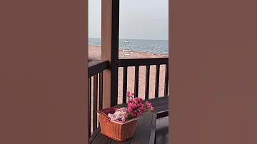 نادر الشراري انته مكانك في وسط العيون بدون موسيقى ذوقي للناس الراقيه 