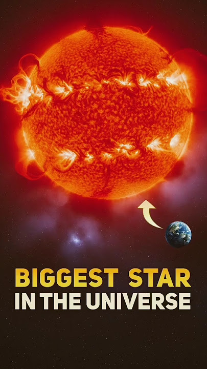 The Largest Star In The Universe 🤯 #shorts