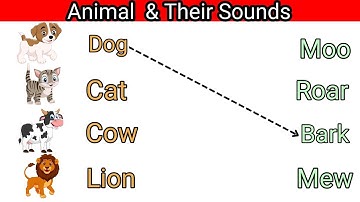 Animal & Their Sounds | Sound of Animal | Match the Animal to their sound | Marching Matching