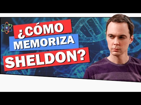 Vídeo: Como Ser Como Sheldon Cooper