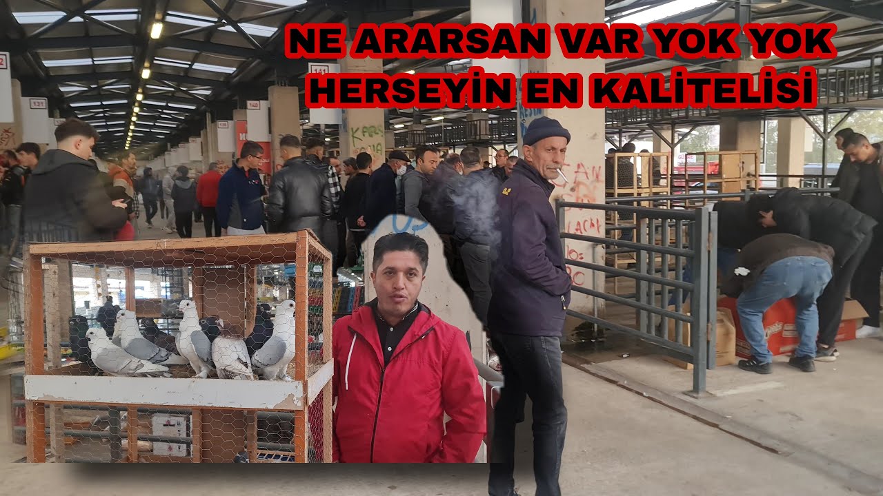 TÜRKİYENİN KALBİ BURDA ATIYOR YANİ BURSA KUŞ PAZARINDA ARAYIPTA BULAMAYACAĞINIZ HİCBİSEY YOK