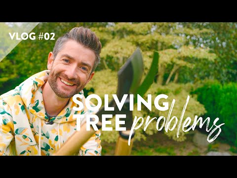 Wedding Cake Tree Problems... I'm Fixing Them! | Garden with Me Ep.2