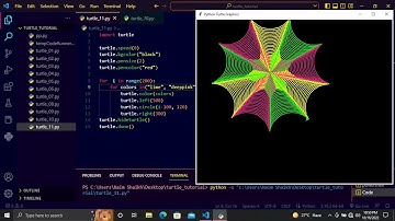 Python Turtle | Create a spider
