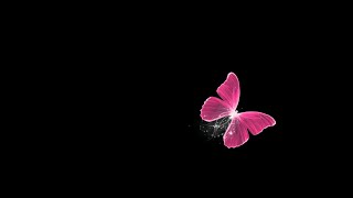 Famous Pink butterfly overlay black screen | Capcut butterfly effect overlay black screen Wealth