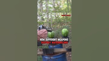 This Is How Different Weapons Destroy Watermelons #shorts #military