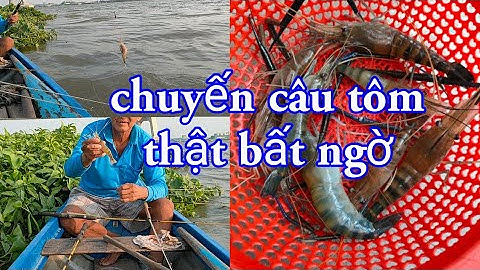 Trở lại điểm câu Tôm huyền thoại và cái kết đầy bất ngờ
