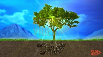 3D Animated Explainer Video -The Nature of Trees