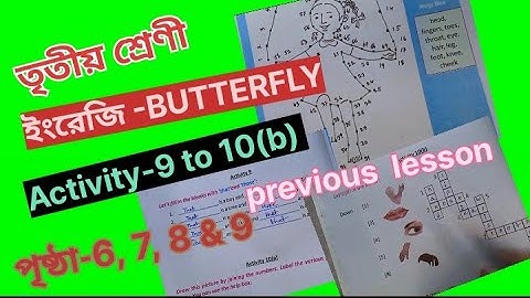 Class 3 English Butterfly Activity 9 -10(b) page 6,7,8 & 9 @primaryschooleducation34