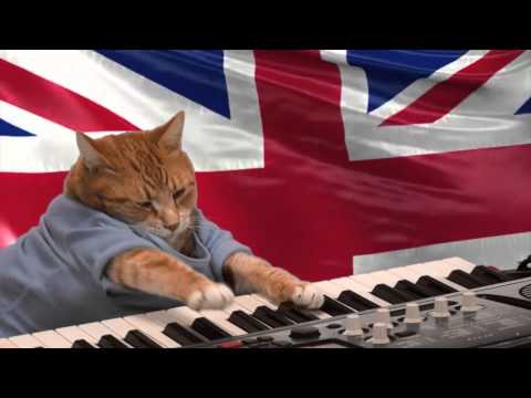 keyboard-cat-loves-the-queen