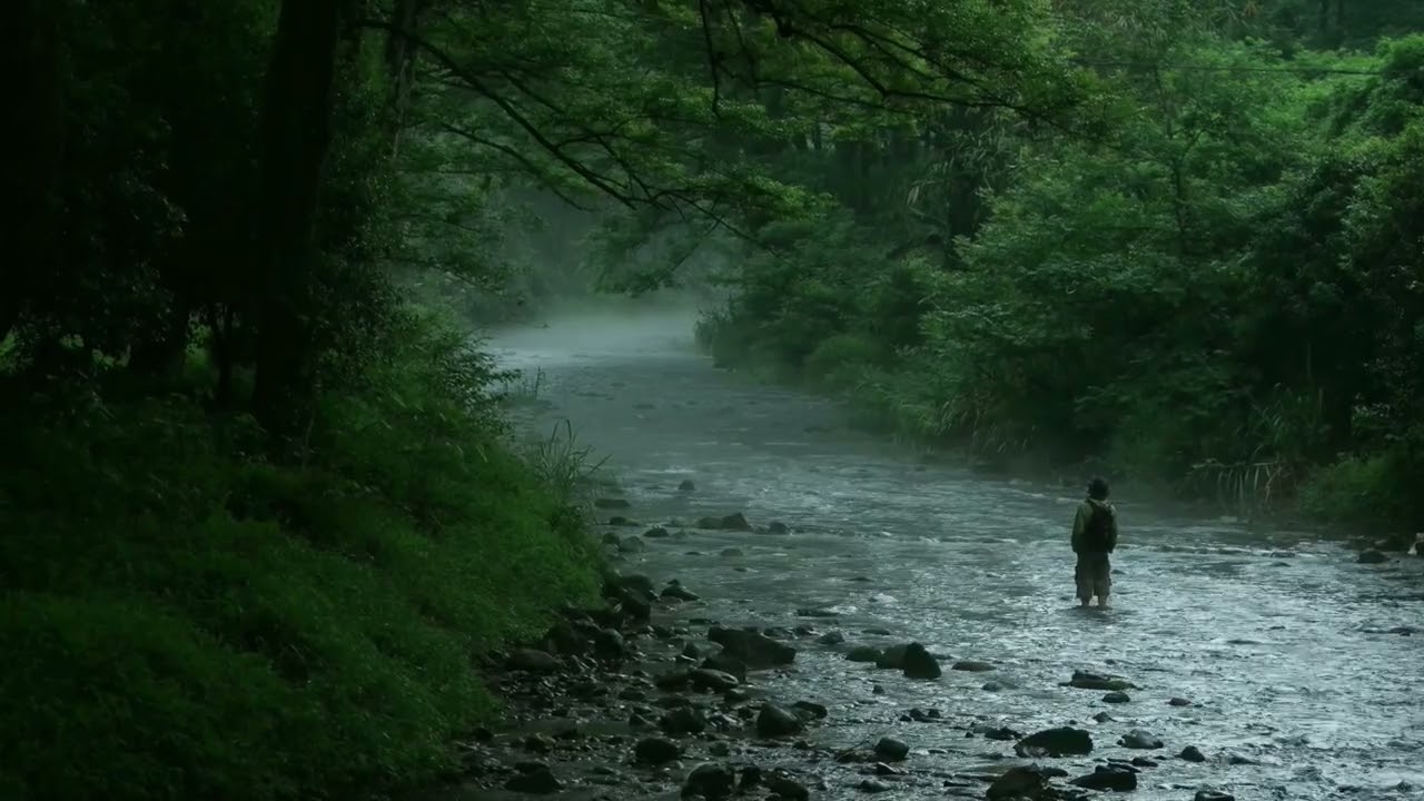 Finding Peace in the Vastness of Life