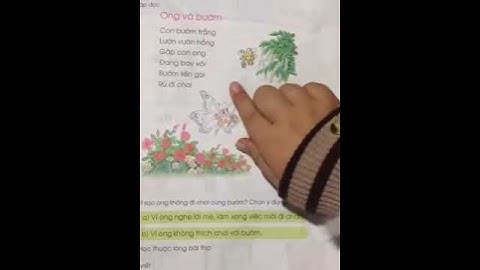 Đọc bài Ong và Bướm-Sách giáo khoa Tiếng Việt lớp 1 tập 2- Nguyễn Hải Đăng Vlog