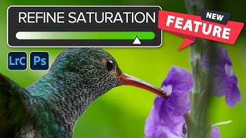 Curves Update! Refine Saturation in Lightroom and Photoshop