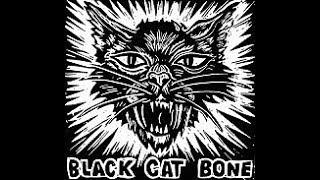 Video thumbnail of "Black Cat Bone - The Hollywood Blue Flames"