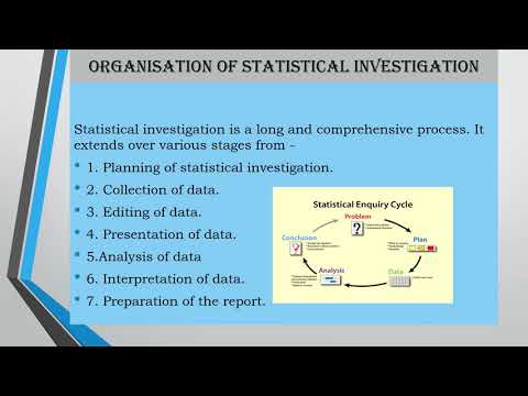 statistical investigation assignment