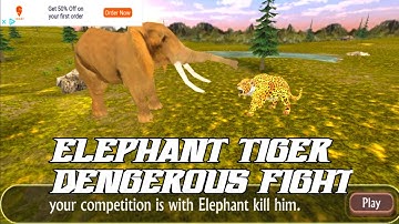 The Tiger Kill Lion, elephant, crocodile, Bear in virtual tiger family simulator game
