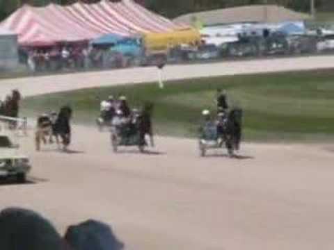 Celebrity for Charity harness race, Walworth County Fair