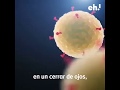 ¿QUÉ NOS ESTÁ ENSEÑANDO EL CORONAVIRUS?