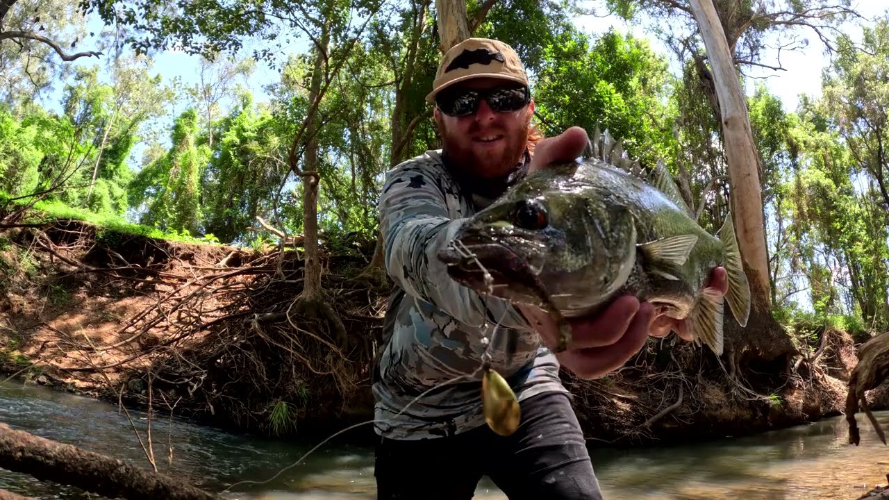 Bass Fishing A tiny Creek Land Based!