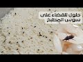 افضل حل للقضاء على الحشرات المنزلية وخاصة سوسة المطبخ ونصائح لبيت نظيف خال من الحشرات افضل حل للقضاء على الحشرات المنزلية وخاصة سوسة المطبخ ونصائح لبيت نظيف خال من الحشرات