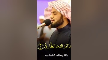رعد الكردي  سورة الطارق