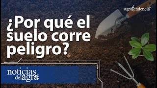 Importancia del suelo para la humanidad Importancia del suelo para la humanidad