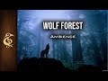 Wolf forest  asmr ambience  1 hour dnd rpg