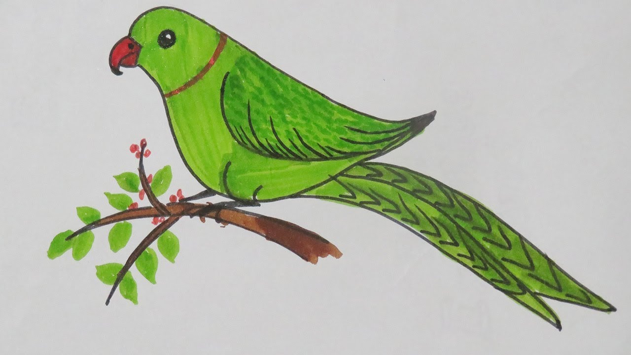 Parrot Couple Drawing  Step By Step Tutorial  Cool Drawing Idea