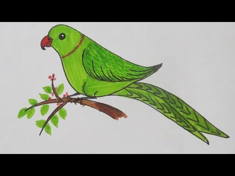 Discover 169+ easy parrot sketch latest