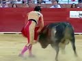 Torero muore trafitto durante la corrida: non succedeva dal 1985