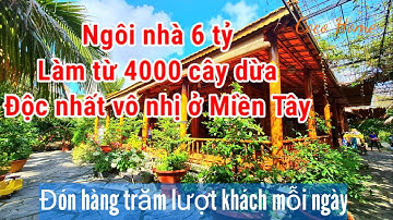 Khám phá Ngôi nhà làm từ 4000 cây dừa độc nhất vô nhị ở Miền Tây - Đón hàng trăm lượt khách mỗi ngày