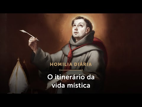 Homilia Diária | O itinerário da vida mística (Memória de São Boaventura, Bispo e Doutor da Igreja)