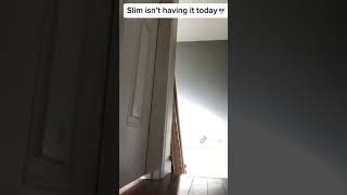 Tal On Tiktok Super Slim
