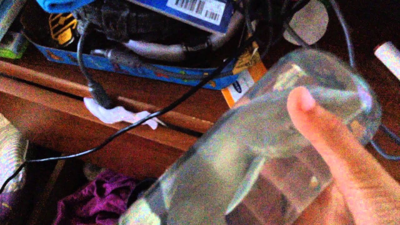 Shark in a Bottle! YouTube