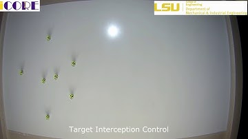 Target Interception Control of Multi-agent Systems