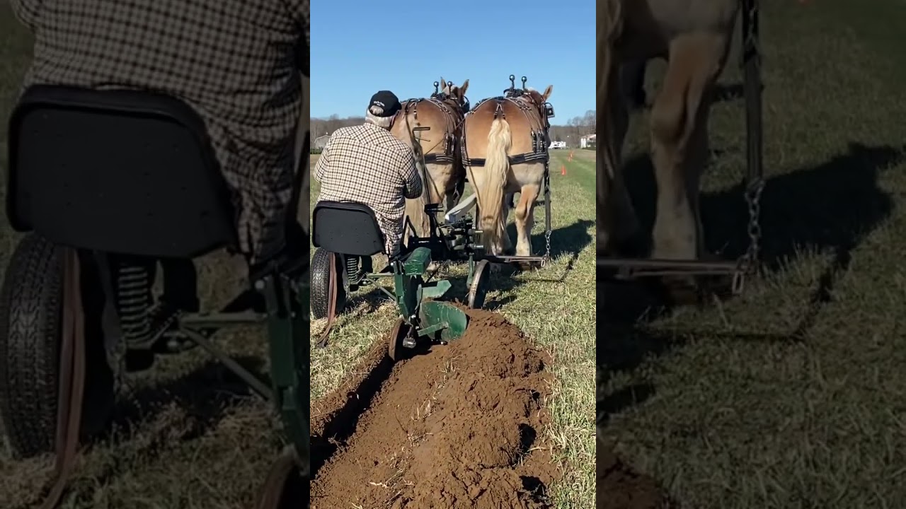 Mart plowing like it use to be done 