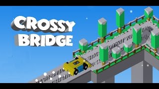 Crossy Bridge - Dignity Games screenshot 5