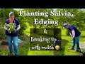 Planting Annual Salvia // Edging the Bed &amp; Breaking Up With Mulch! ❌🙅🏼‍♀️
