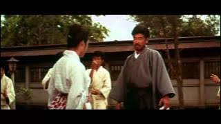 Wang Yu, King of Boxers (1973) 唐人票客