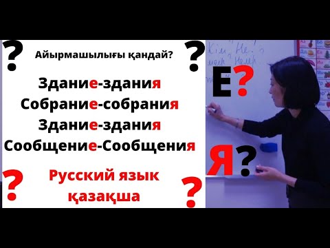 Бейне: Септиктерге арналған көтергіш сорғы дегеніміз не?