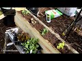 Flower Box & Container Gardening E-1: Making a $6 Flower Box, Soil Mix, Lettuces, Radishes