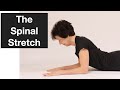 How to do the Spinal Stretch Flexibility Exercise