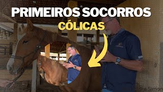 O que fazer antes do veterinário chegar - Cólica Equina | Dr André Simon orienta