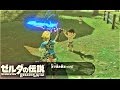 【幼き武器マニア : ミニチャレンジ ハテノ村】 攻略 ゼルダの伝説 ブレスオブザワイルド "The Weapon Connoisseur" BREATH OF THE WILD