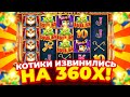 ЗАНОС НА 360X ИЛИ КАК ОДНИ КОТИКИ ИЗВИНЯЮТСЯ ЗА ВТОРЫХ В CLEOCATRA!