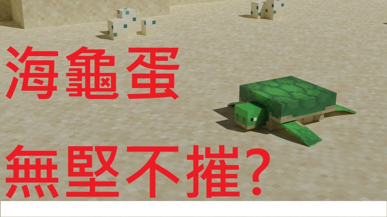 Minecraft的世界海龜蛋是最強的 Youtube Minecraft的世界海龜蛋是最強的 Youtube