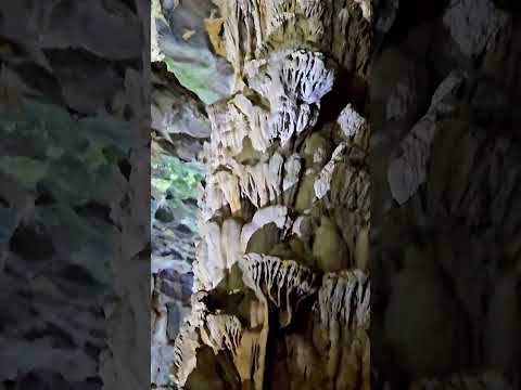 Phong Nha - Wietnam - Park Narodowy i jaskinia Phong Nha #podróże #shorts