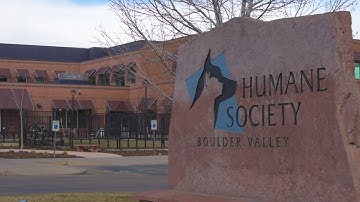 Pre-Class Orientation Video