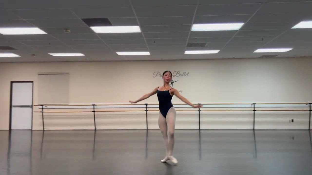 NDT SI 2026 submission - Carissa Hsu