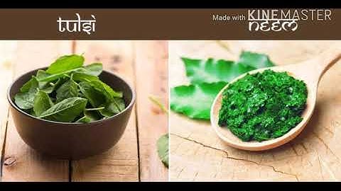 Class-III Ch 6  uses of a leaf by Aarushi Jain