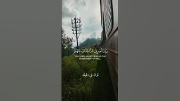قران كريم ارح قلبك وسمعك #قران_في_دقيقة #المصحف #quran #حمزة_الفار #قران @قران_في_دقيقة